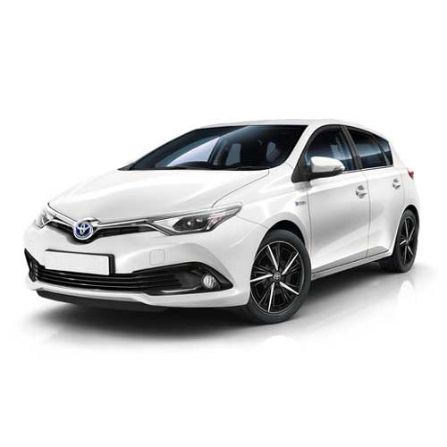 Toyota Auris Hybride Service 2010 - 2018 Accu Reviseren